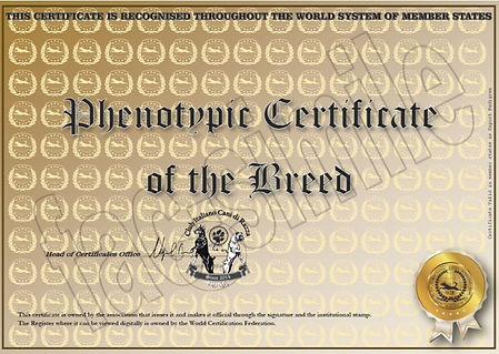 pedigree facsimile.jpg