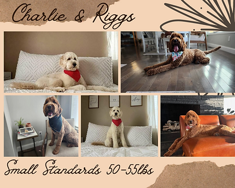 Charlie & Riggs_20250602_120609_0000.png