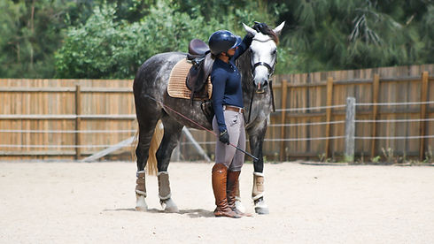 Sandra Trott Equestrian Coach