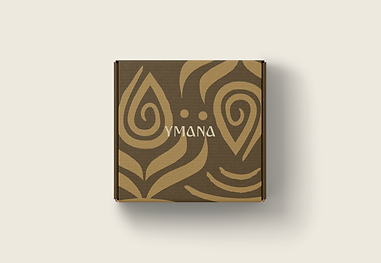 Mockup-caixa.png