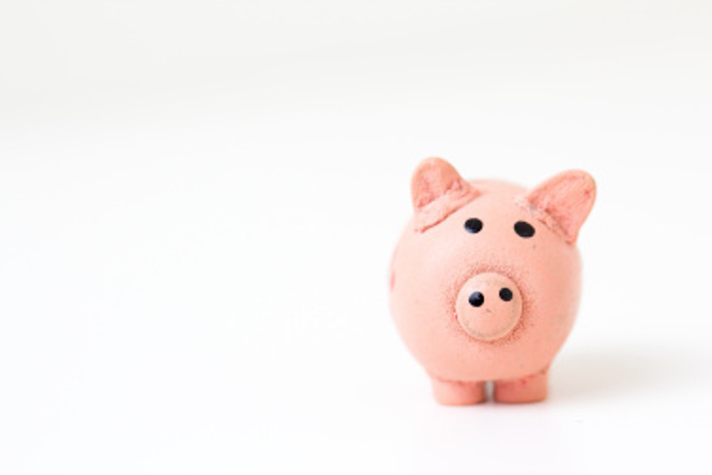 piggybank.unsplash