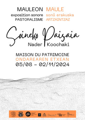 Exposition de Nader Koochaki : Soineko paisaia