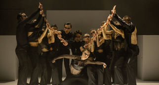 Saison culturelle : Don Quixote