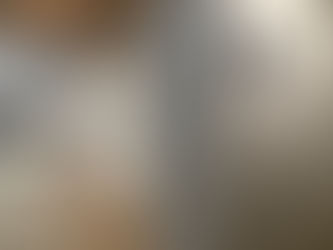 Expo de Zigor à Agerria : du 8/11/24 au 5/01/25