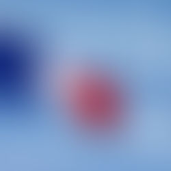 Cérémonie du 19 mars