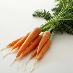 Thumbnail: Carrot