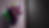 Traube Graue Wand
