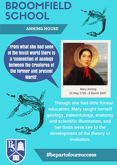 Anning House Posters A1 (1).png