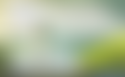 If Fear Wasn't a Factor, What Would You Choose?