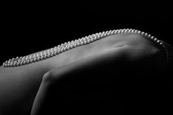 BODY OF ELEGANCE