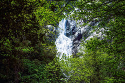 ACQUA