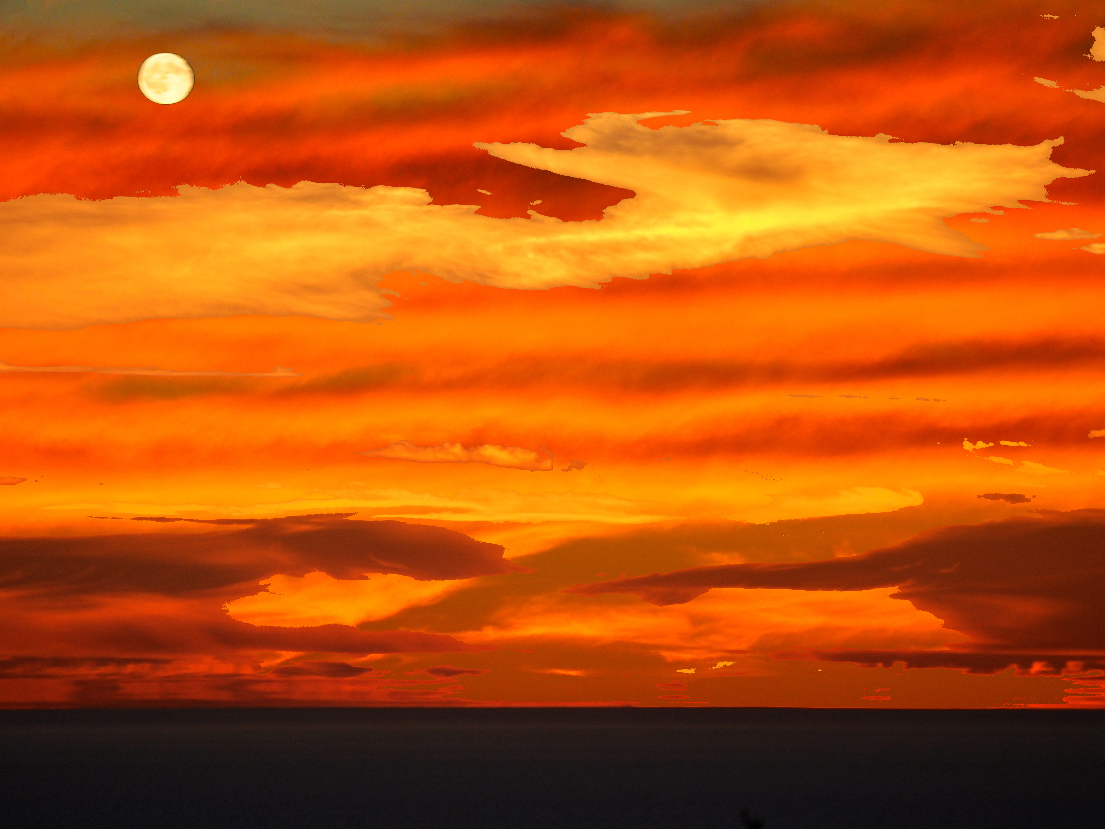 SAILOR'S DELIGHT