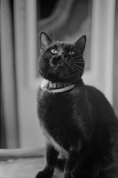 jlyons_35mm_3.jpg