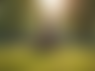 Effective Stress Management Techniques for a Healthier Life