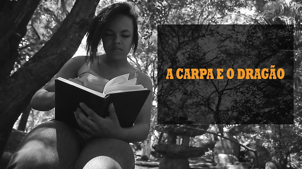 A_carpa_e_o_dragão