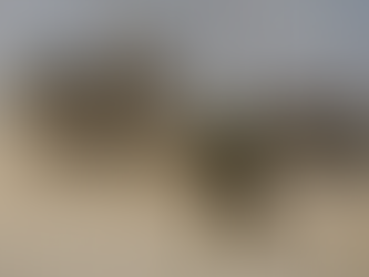 Cessar-fogo em Gaza: Libertação de Reféns Está Agendada para Domingo