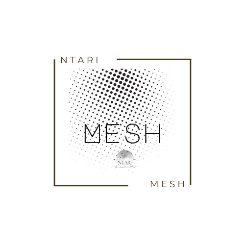 Logo of the Mesh program is 1000 stars with the word Mesh in front