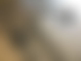 交換するだけで印象ってかわりますよ【custom】