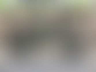 ファッティなミニベロ