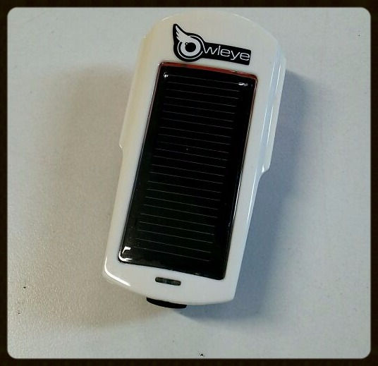 ハイブリッド！！