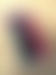 困ったときの相棒【ITEM】