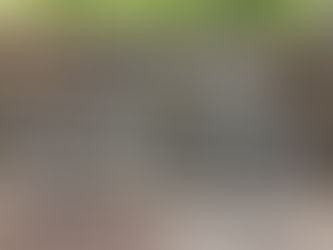 スウェーデンブランドとコラボのバイク