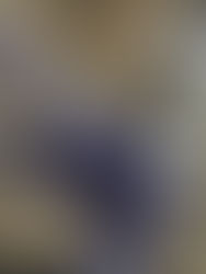 限定１台特価！！3万円台ドイツのクロスバイク！