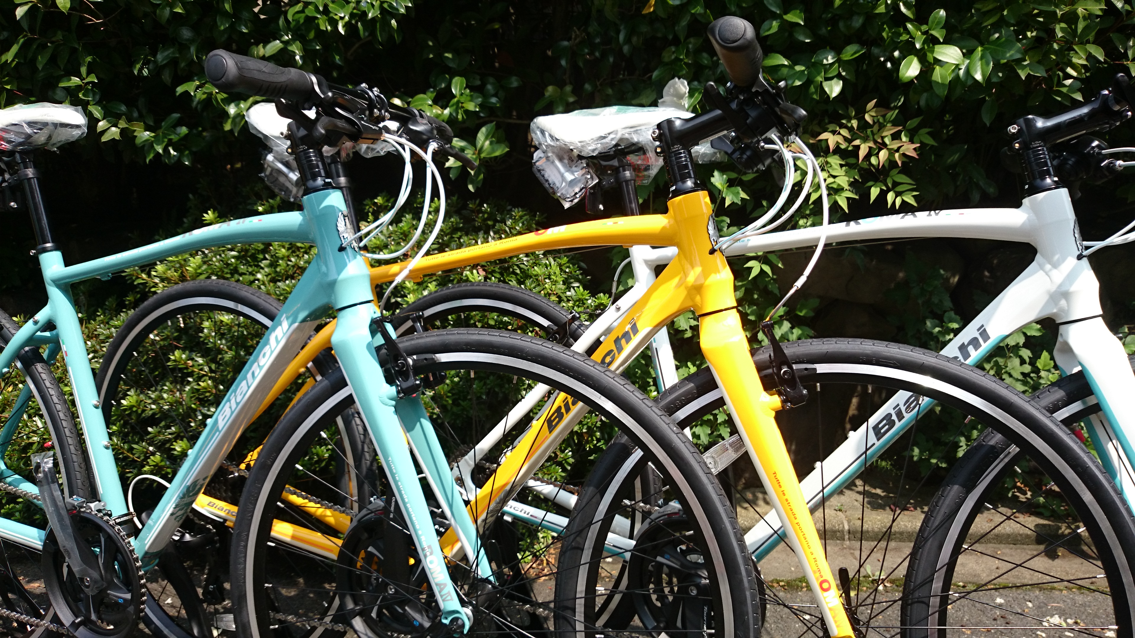 bianchi 自転車