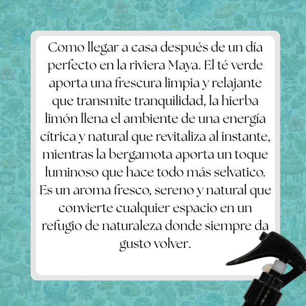 Miniatura: Aroma Parque X (Agua)