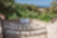 Cyprus Micro Wedding
