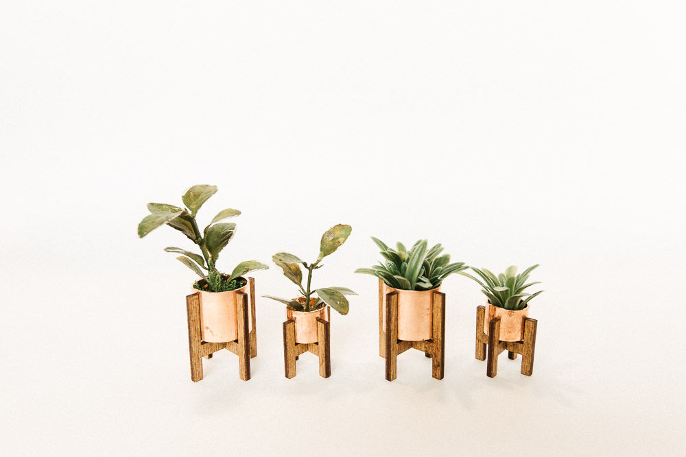 Plant with stand