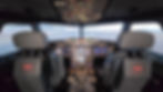 cockpit25_2.jpg