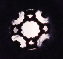 Kaleido Refecting reality