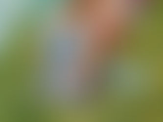 Femspec 24.1 coming soon!