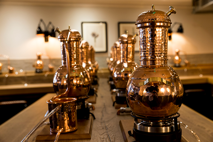 Rum Making Experience - Evening