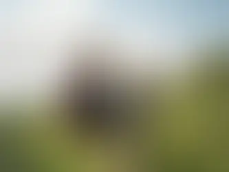 Hvad kan du forvente af dit første efterskoleår?