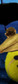 rick oshea tennisball.jpeg