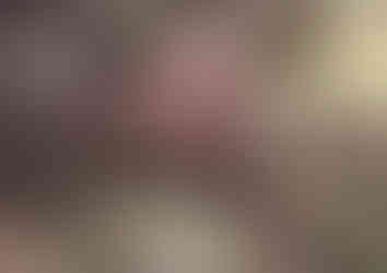 A bank of Sand Dollars