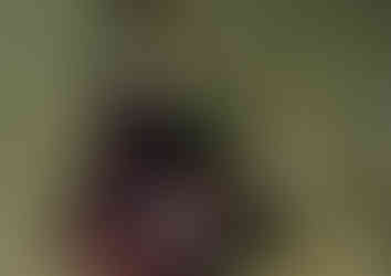 Wart-neck Piddock (Chaceia ovoidea) 