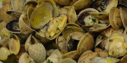 Vongole