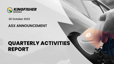 Quarterly Activities Report