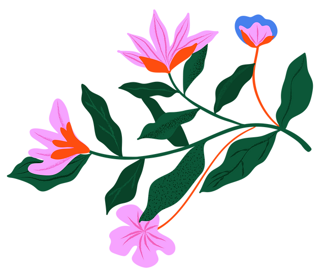 professional supervision for clinical cases