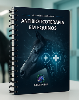 mockup1 cópia.png