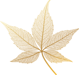 leaf5-joanna-hanum.png