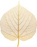 leaf-joanna-nahum.png