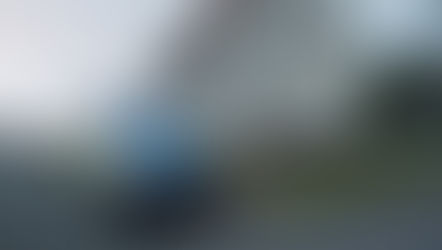 Gewaltverbrechen in Hehlen: Großfahndung nach Tötungsdelikt einer 39-Jährigen– Umfangreiche Fahndung