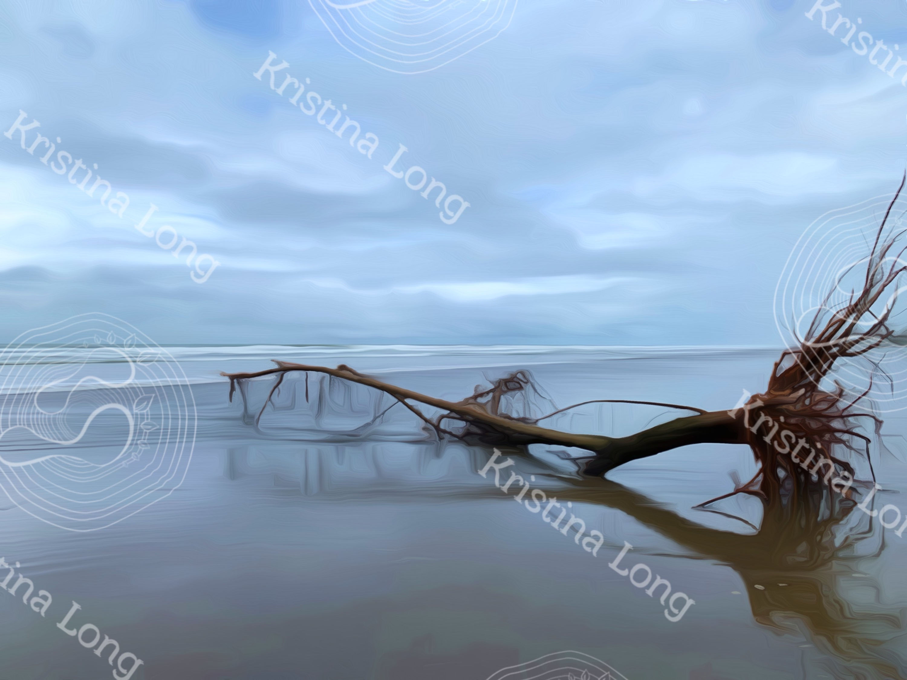 “Painted” Drift Wood ~ Las Lajas, Panamá 🇵🇦