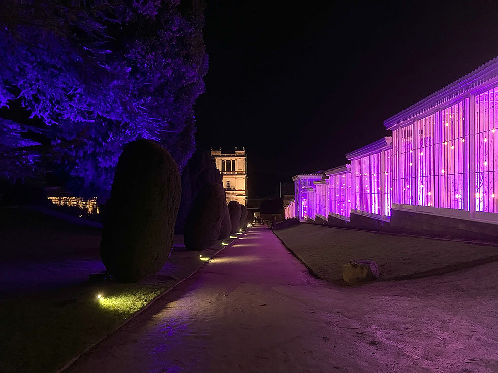 The Case (the House's Conservatory) also lit for Christmas along with the Great Oak Tree (left).