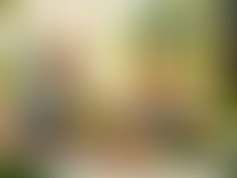 Boosting Energy Levels Naturally with Homeopathy