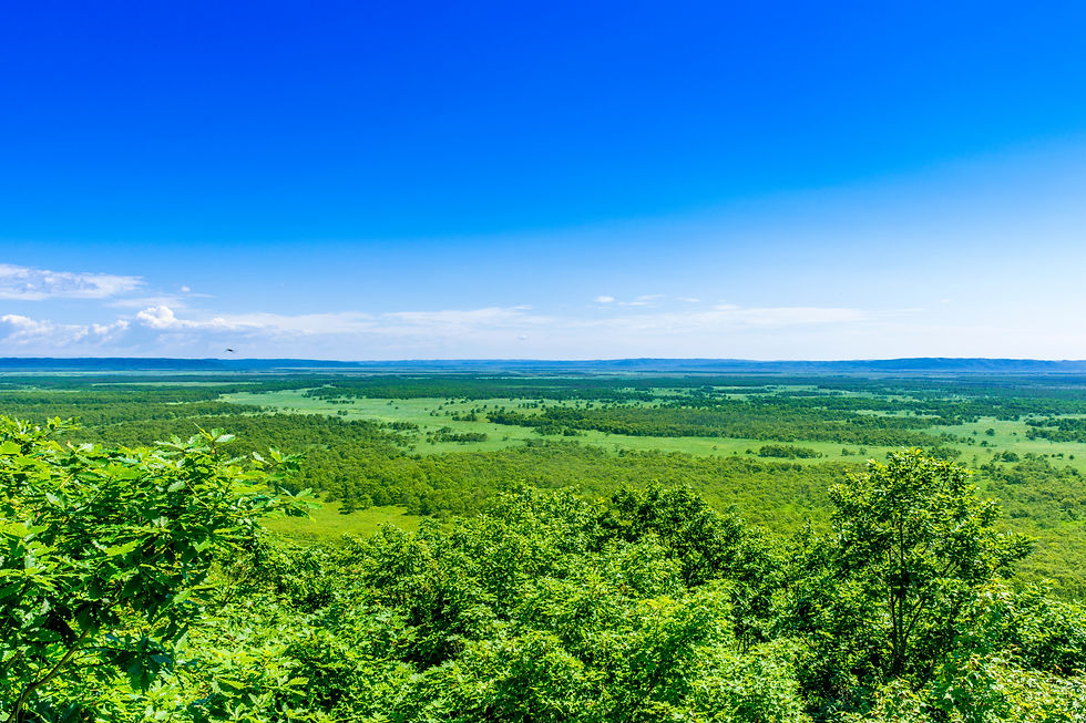 AdobeStock_261239692.jpeg